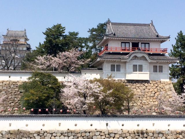 2017.4.17hanami1.jpg